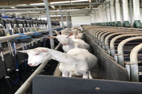 Photo of property in 354 Paraite Road, Paraite, New Plymouth, 4373