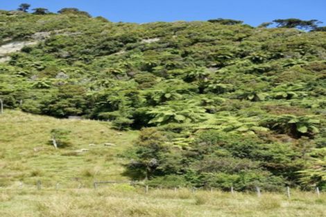 Photo of property in 6 Horncastle Crescent, Little Wanganui, Karamea, 7893