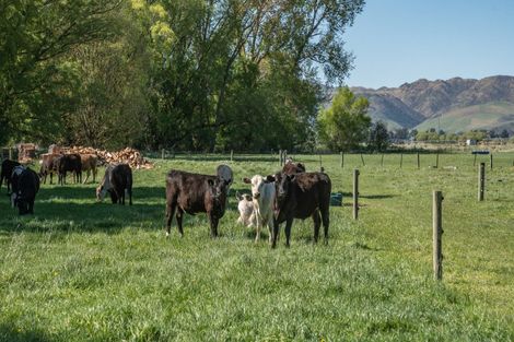 Photo of property in 9 Culverden Road, Culverden, 7392