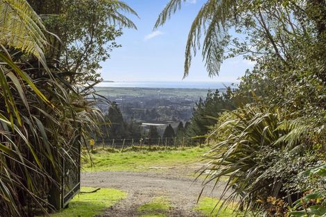Photo of property in 176 Harray Road, Te Puke, 3183