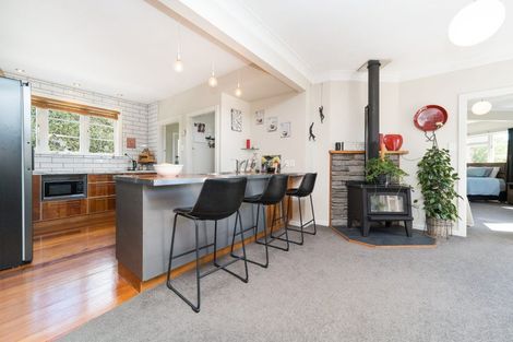 Photo of property in 5 Karamu Avenue, Takaro, Palmerston North, 4410