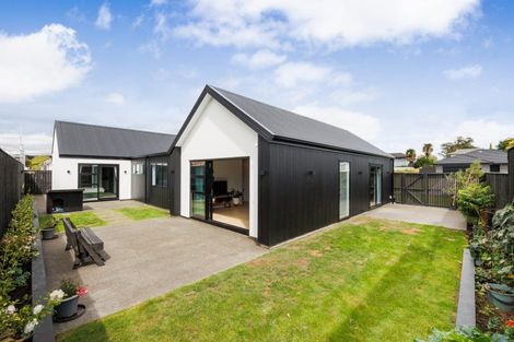 Photo of property in 38 Ashford Avenue, Hokowhitu, Palmerston North, 4410