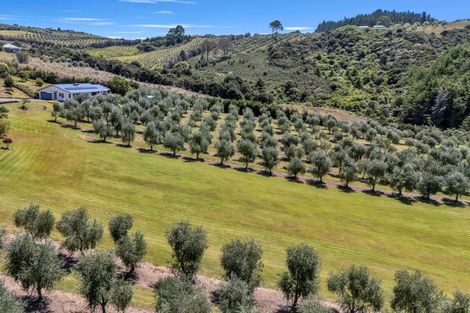 Photo of property in 79 Leccino Valley Road, Mangonui, 0494