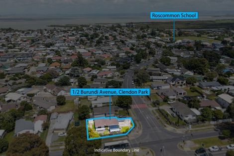 Photo of property in 1/2 Burundi Avenue, Clendon Park, Auckland, 2103