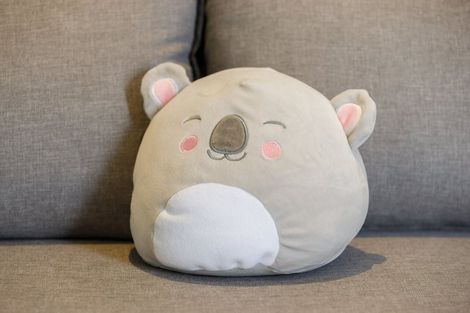 Photo of property in Soho Apartments, 1221/74 Taranaki Street, Te Aro, Wellington, 6011