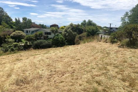 Photo of property in 64 Durham Drive, Havelock North, 4130