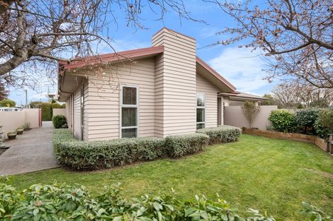 Photo of property in 37 Frank Street, Papanui, Christchurch, 8053