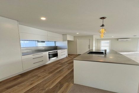 Photo of property in 45 Berryfield Drive, Richmond, 7020