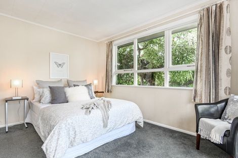 Photo of property in 909a Dufferin Street, Akina, Hastings, 4122