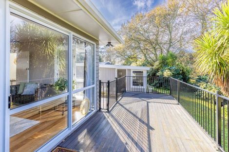 Photo of property in 9b Murray Street, Maeroa, Hamilton, 3200