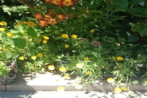 Photo of property in 53 Hawker Street, Mount Victoria, Wellington, 6011