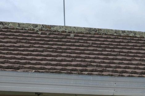 Photo of property in 17 Harold Avenue, Kaikohe, 0405