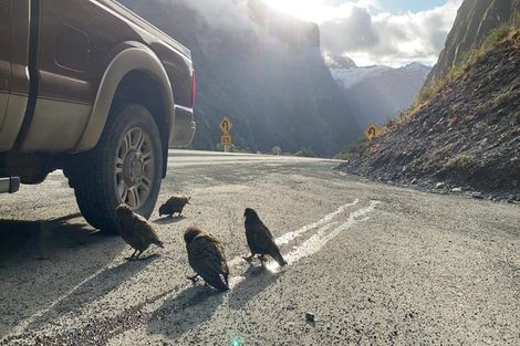 Photo of property in 18 Acheron Way, Te Anau, 9600