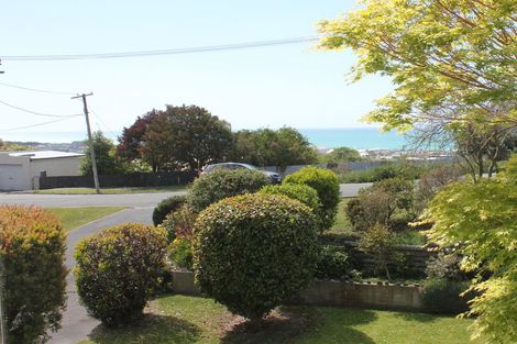 Photo of property in 100 Aln Street, Oamaru, 9400