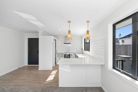 Photo of property in 16a Saint Annes Street, Levin, 5510