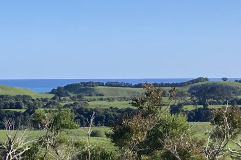 Photo of property in 41a Wharekauri Road, Mimi, Urenui, 4377