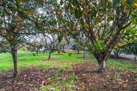 Photo of property in 12 Tirohanga Road, Rotoorangi, Cambridge, 3495