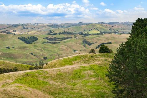 Photo of property in 352 Kauri Road, Onewhero, 2697