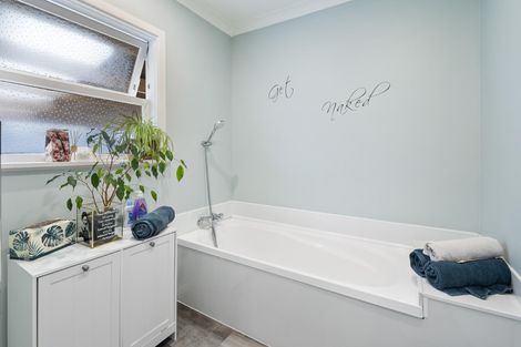 Photo of property in 20 Grand Street, Shannon, 4821