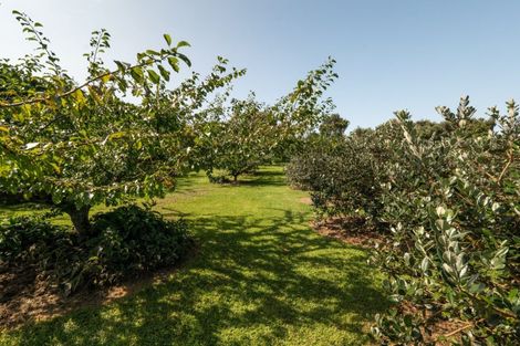 Photo of property in 10a Bridgman Lane, Tanners Point, Katikati, 3177