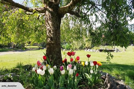 Photo of property in 327 Thwaites Road, Hororata, Darfield, 7572