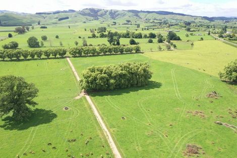 Photo of property in 231 Grice Road, Rotoorangi, Cambridge, 3495