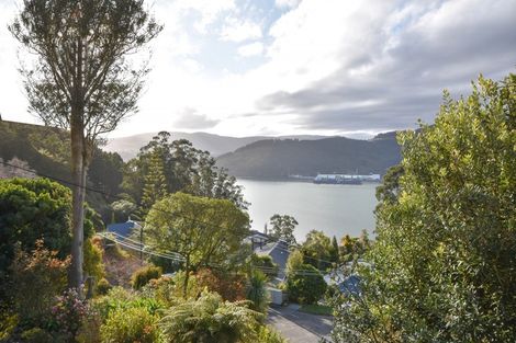 Photo of property in 51 Irvine Road, The Cove, Dunedin, 9077