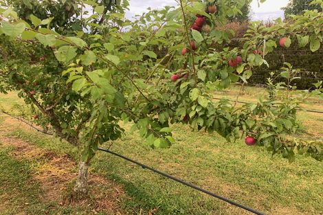 Photo of property in 70 Parore Street, Parore, Dargaville, 0372