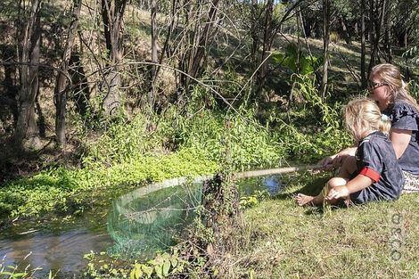 Photo of property in 231 Waitakere Road, Taupaki, Henderson, 0782