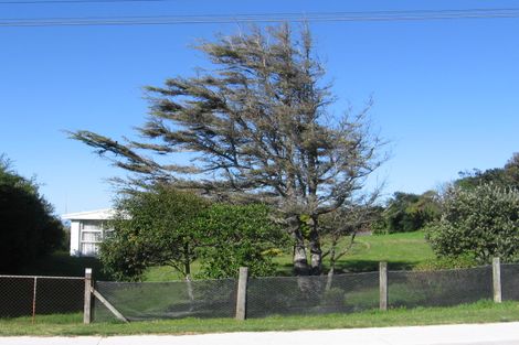 Photo of property in 20 Andrews Street, Foxton Beach, Foxton, 4815