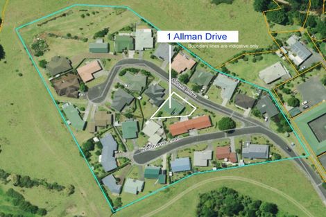 Photo of property in 1 Allman Drive, Coromandel, 3506