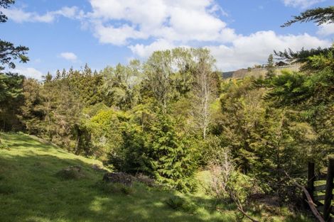 Photo of property in 397 Busby Road, Tahawai, Katikati, 3170