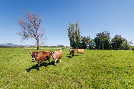 Photo of property in 2022 State Highway 56, Longburn, Palmerston North, 4477