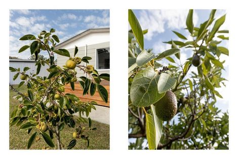 Photo of property in 16 Emme Allan Road, Kawerau, 3127