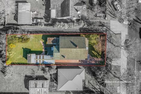 Photo of property in 26 Seabrook Avenue, New Lynn, Auckland, 0600