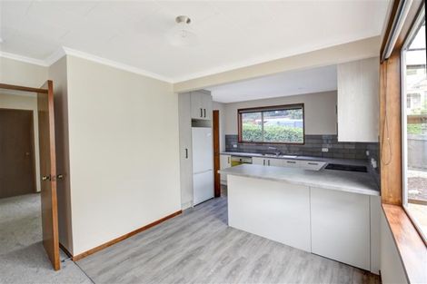 Photo of property in 11a Allandale Road, Saint Clair, Dunedin, 9012