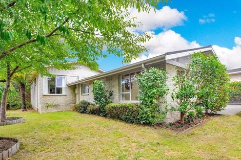 Photo of property in 169 Flaxmere Avenue, Flaxmere, Hastings, 4120