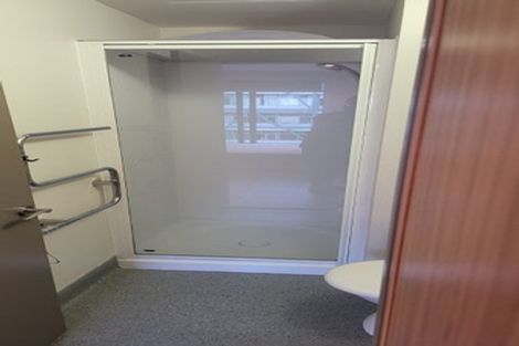 Photo of property in Dual Apartments, 108/142 Vivian Street, Te Aro, Wellington, 6011