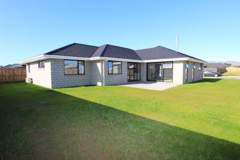 Photo of property in 8 Mustang Alley, Burleigh, Blenheim, 7201