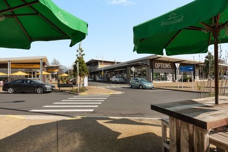 Photo of property in 44 Parau Drive, Bethlehem, Tauranga, 3110