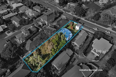 Photo of property in 117 Hutchinson Avenue, New Lynn, Auckland, 0600