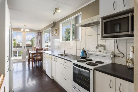 Photo of property in 17 Strathmore Avenue, Levin, 5510