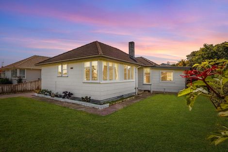 Photo of property in 125 Limbrick Street, Terrace End, Palmerston North, 4410