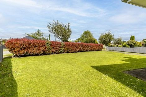 Photo of property in 109 Fitzroy Street, Terrace End, Palmerston North, 4410