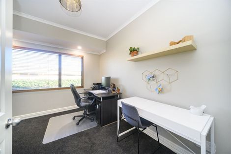 Photo of property in 29 Clearview Drive, Milson, Palmerston North, 4414