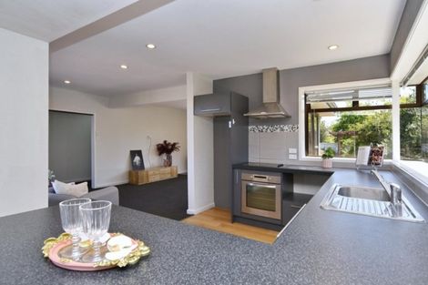 Photo of property in 42 Hope Street, Shirley, Christchurch, 8013