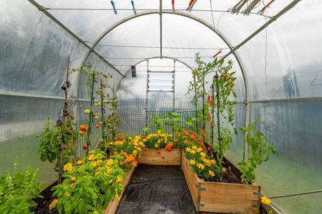 Photo of property in 15b Mayfair Place, Westown, New Plymouth, 4310