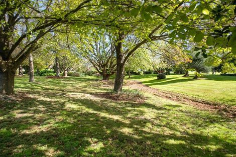 Photo of property in 246 Tuki Tuki Road, Haumoana, Hastings, 4180