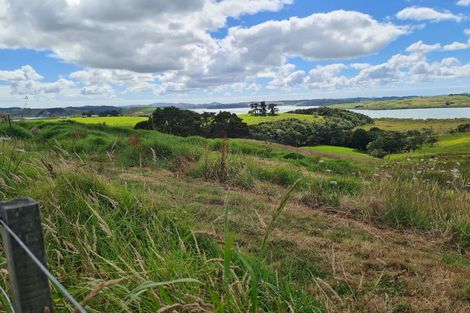 Photo of property in 304 Arapaoa Road, Tinopai, Matakohe, 0593