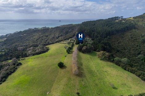 Photo of property in 425n Boat Harbour Road, Whenuakite, Whitianga, 3591